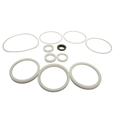 2025 10 Leading rptfe Manufacturers in the world